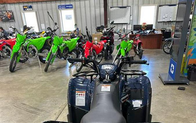 2026 Kawasaki Brute Force 300