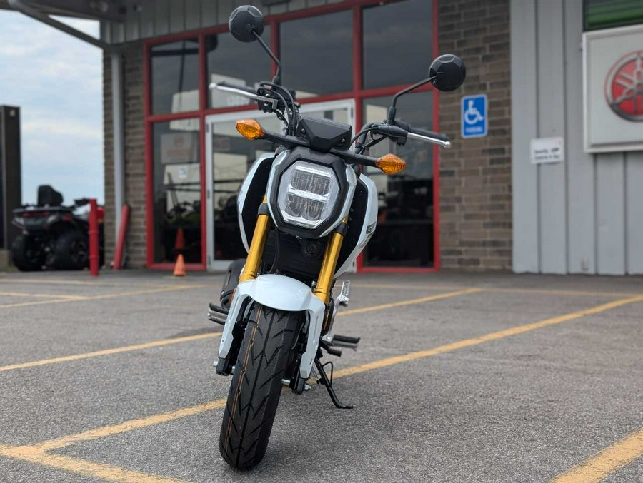 2025 Honda Grom™ Base