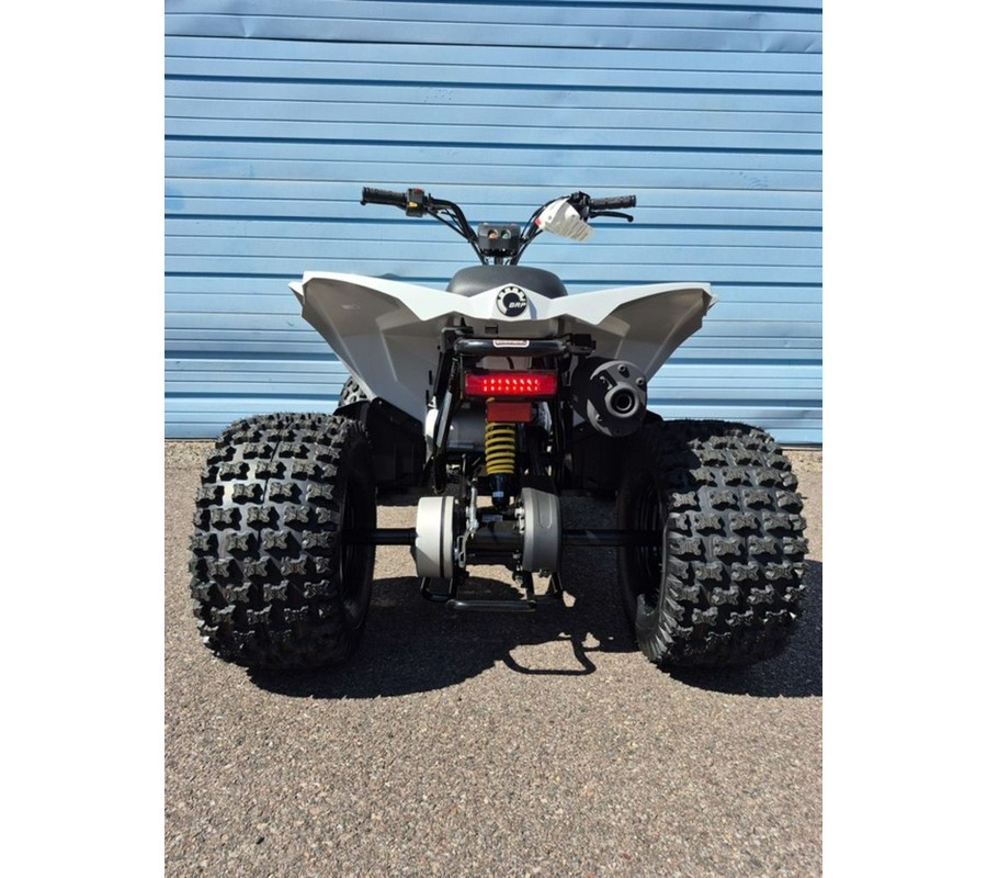 2026 Can-Am® Renegade 110 EFI
