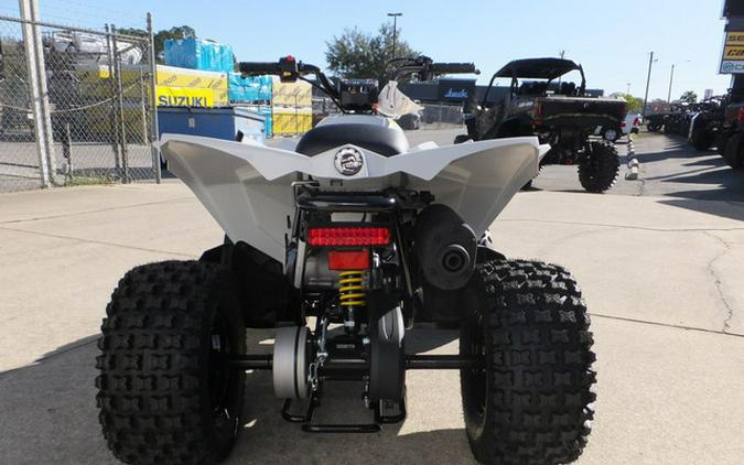 2026 Can-Am Renegade 70 EFI