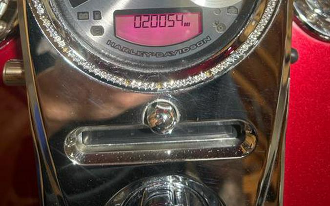 2005 Harley-Davidson FLSTN/FLSTNI Softail® Deluxe
