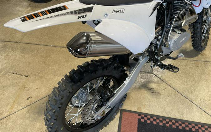 2025 SSR Motorsports XD 250 - WHITE
