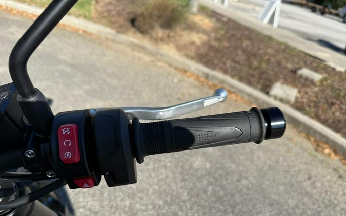 2026 Triumph Trident 800