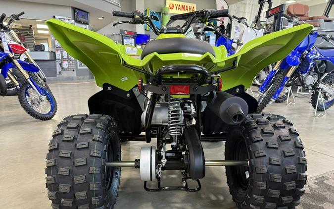 2026 Yamaha Raptor 110
