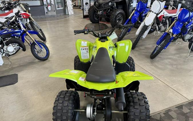 2026 Yamaha Raptor 110