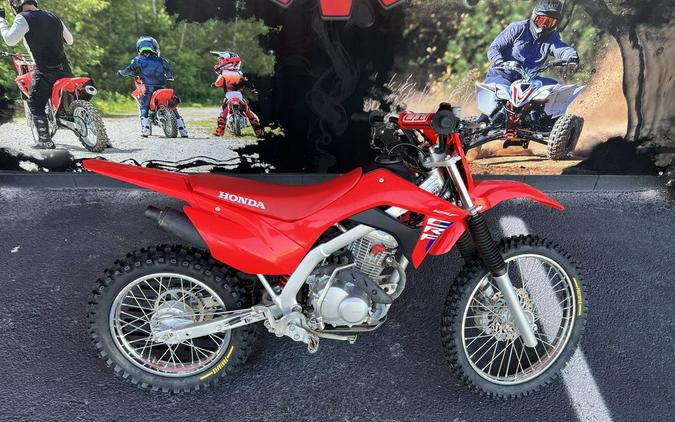 2025 Honda® CRF125F Big Wheel