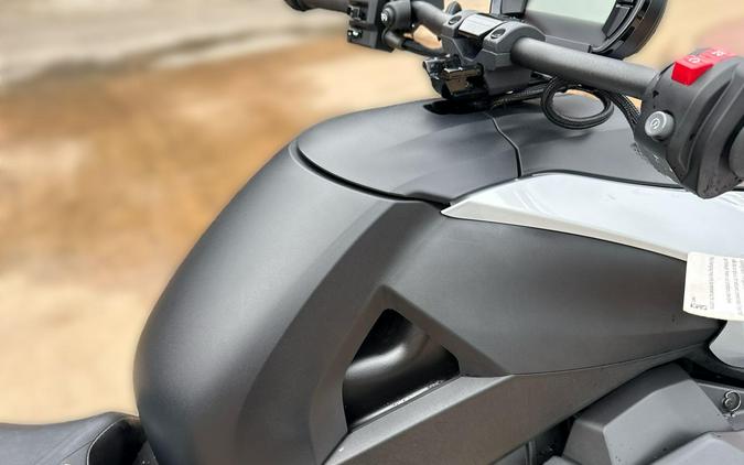 2024 Can-Am RYKER RALLY 900