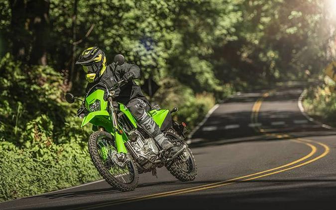 2025 Kawasaki KLX300FSFNN