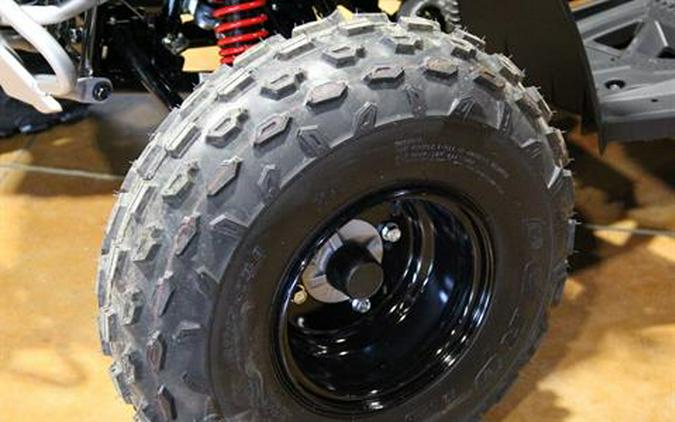 2026 Can-Am Renegade 110 EFI