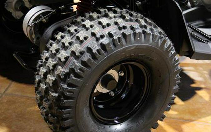 2026 Can-Am Renegade 110 EFI