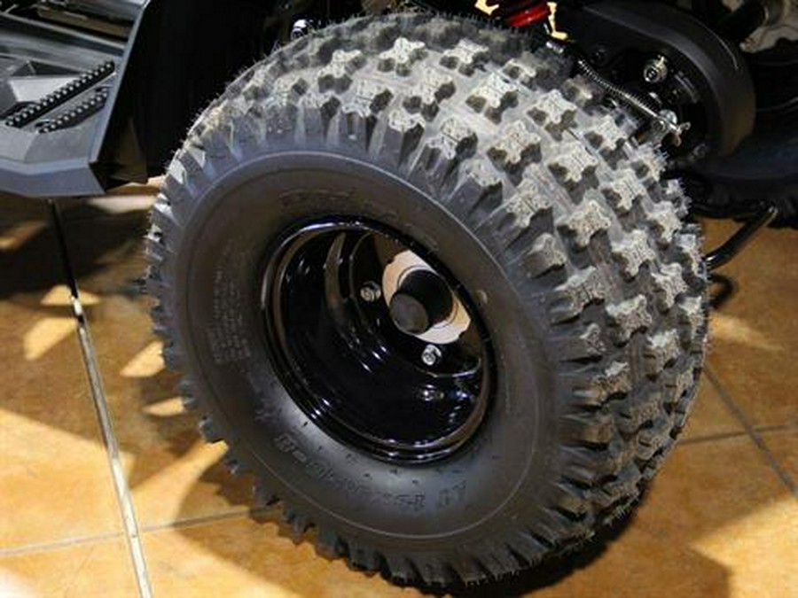 2026 Can-Am Renegade 110 EFI