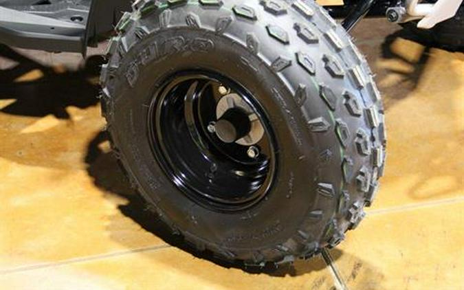 2026 Can-Am Renegade 110 EFI