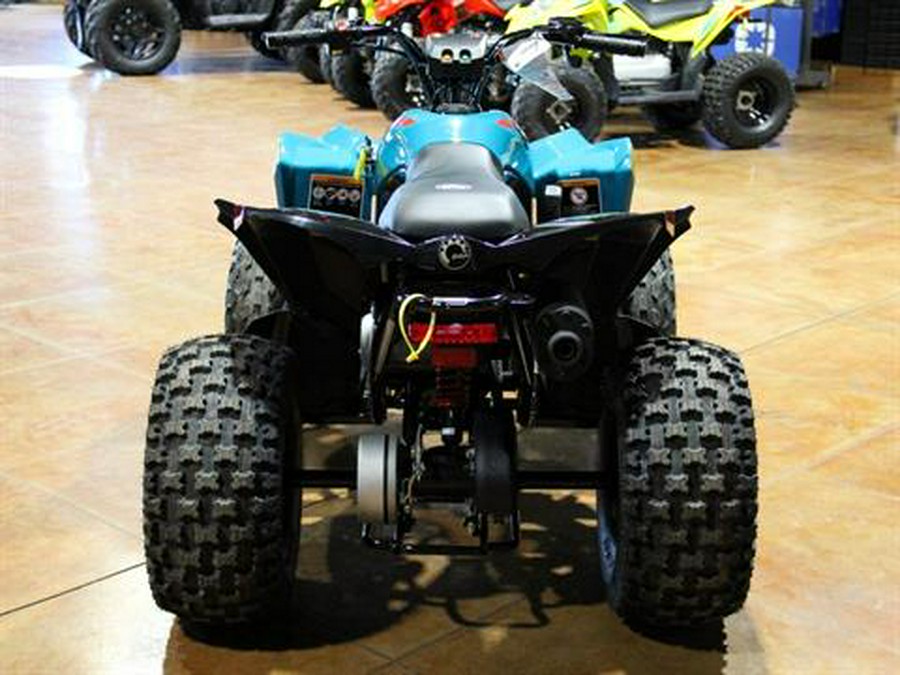 2026 Can-Am Renegade 110 EFI