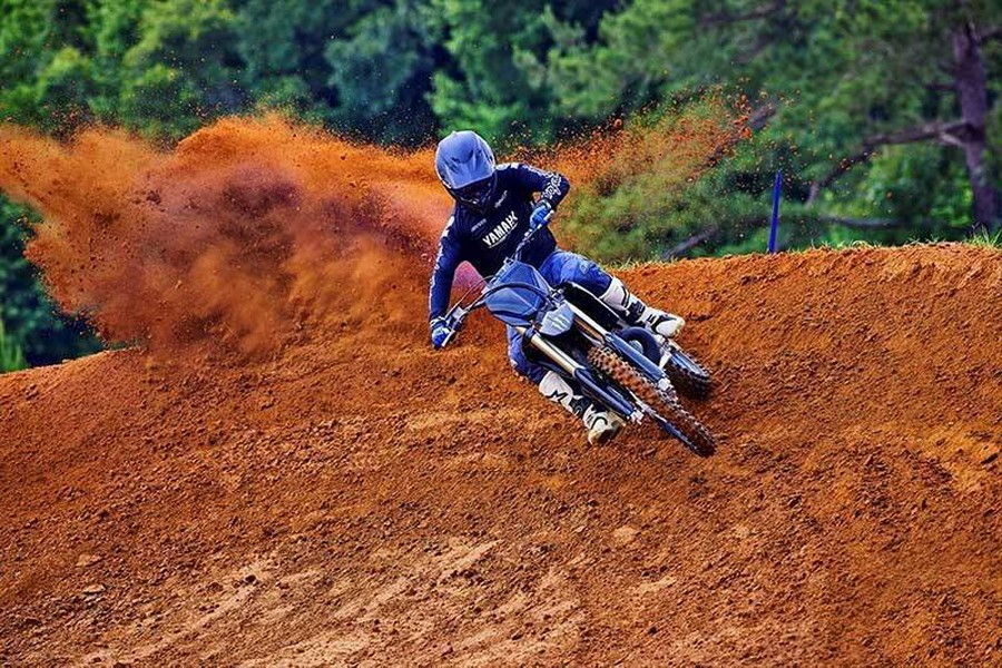 2027 YZ250 MONSTER ENERGY EDITION - Yamaha