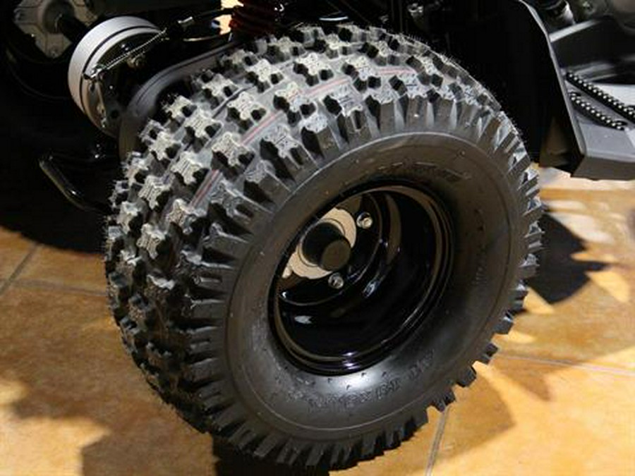 2026 Can-Am Renegade 110 EFI