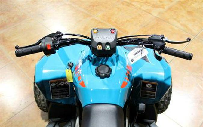 2026 Can-Am Renegade 110 EFI