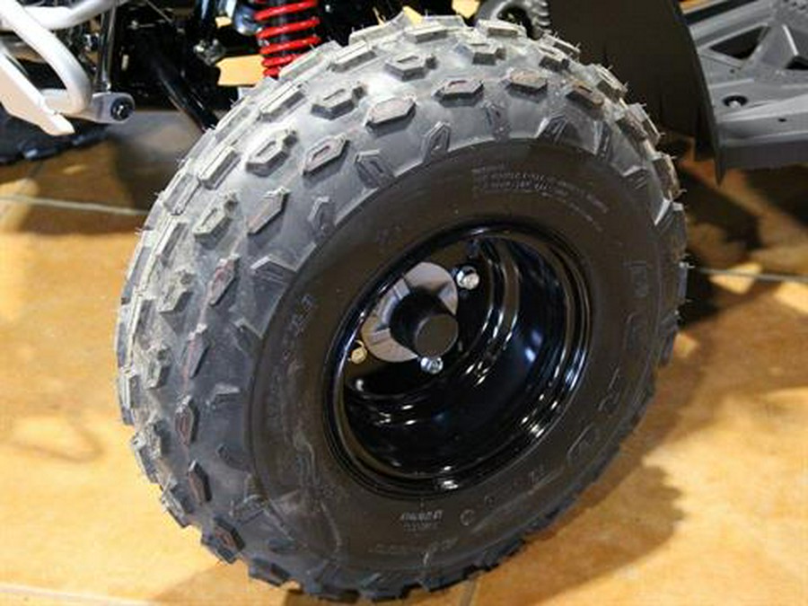 2026 Can-Am Renegade 110 EFI