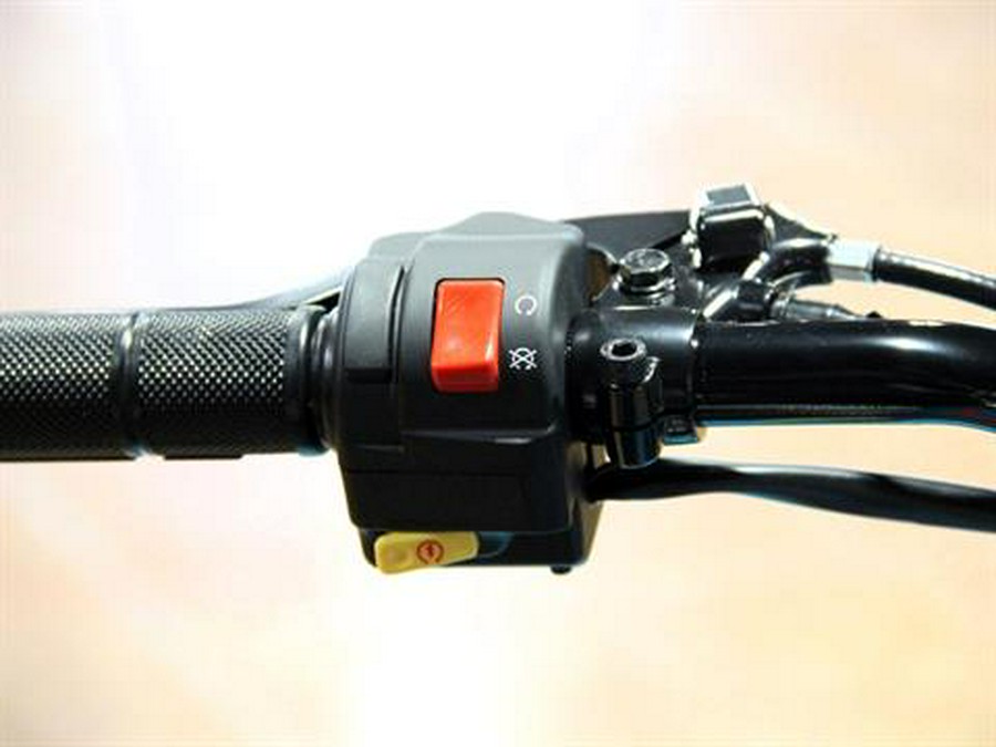 2026 Can-Am Renegade 110 EFI