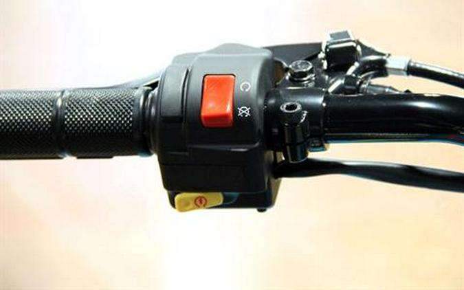 2026 Can-Am Renegade 110 EFI