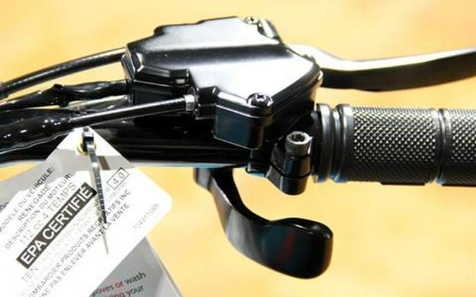 2026 Can-Am Renegade 110 EFI