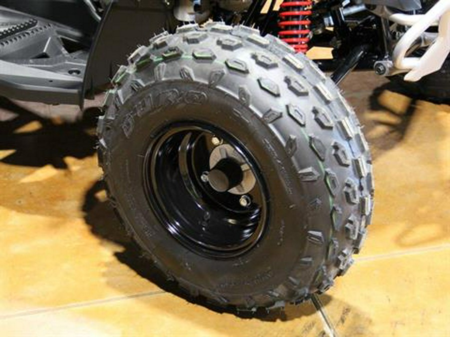 2026 Can-Am Renegade 110 EFI