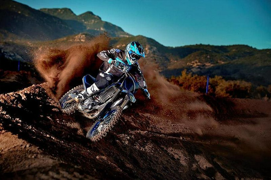 2027 Yamaha YZ450F MONSTER ENERGY EDITION