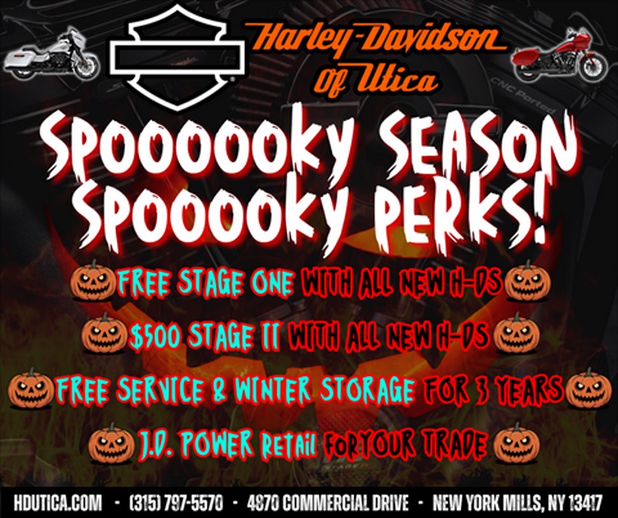 2025 Harley-Davidson Road King® Special