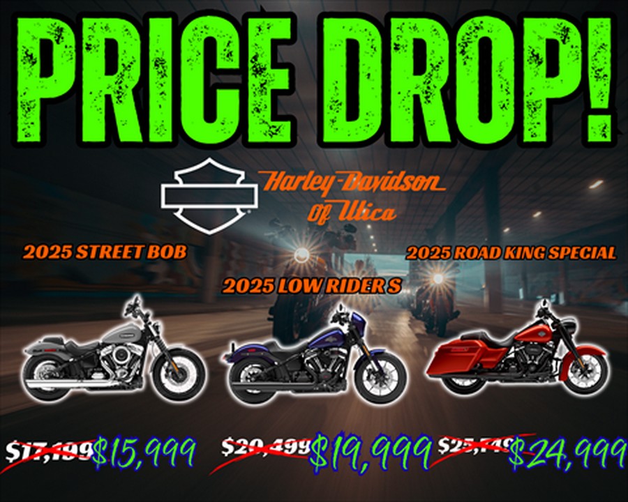 2025 Harley-Davidson Road King® Special