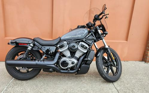 2022 Harley-Davidson Nightster Gunship Gray