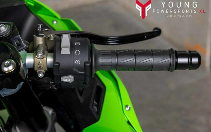 2025 Kawasaki Ninja ZX-10R KRT Edition KRT Edition