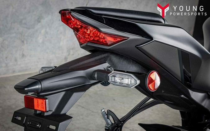 2025 Kawasaki Ninja ZX-10R
