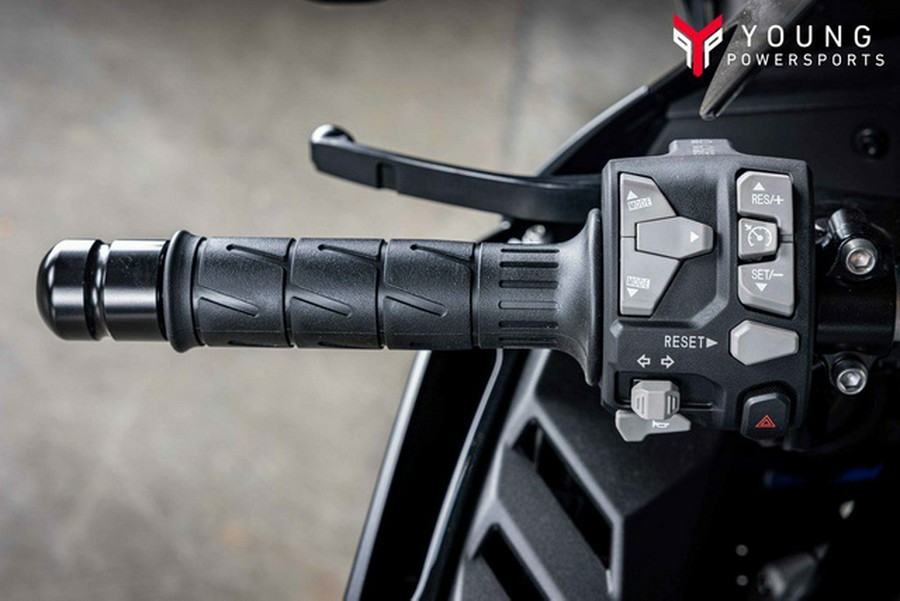 2025 Kawasaki Ninja ZX-10R