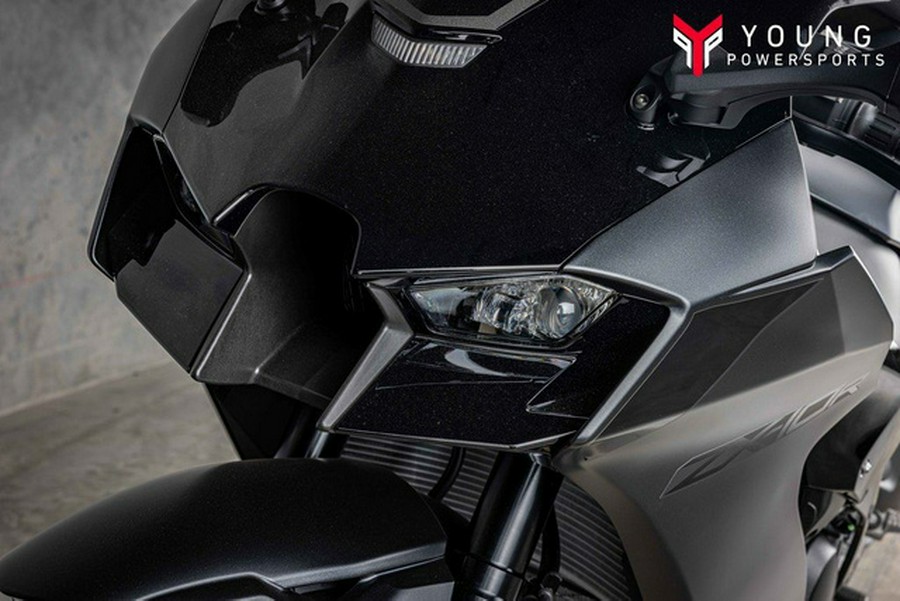 2025 Kawasaki Ninja ZX-10R