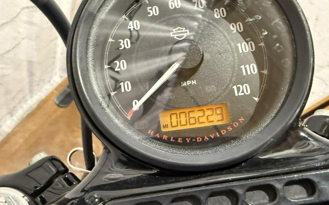 2016 Harley-Davidson® Forty-Eight® XL 1200X 445307 Hard Candy Cancun Blue Flake