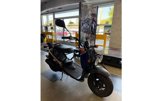 2022 Honda Ruckus Base