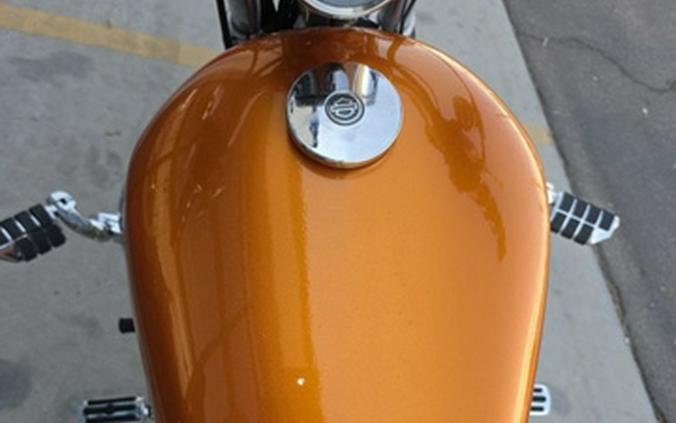 2006 Harley-Davidson Sportster XL1200C - 1200 Custom