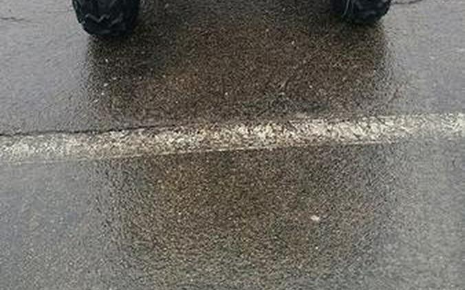 2026 Honda® FourTrax Foreman Rubicon 4x4 Automatic DCT EPS