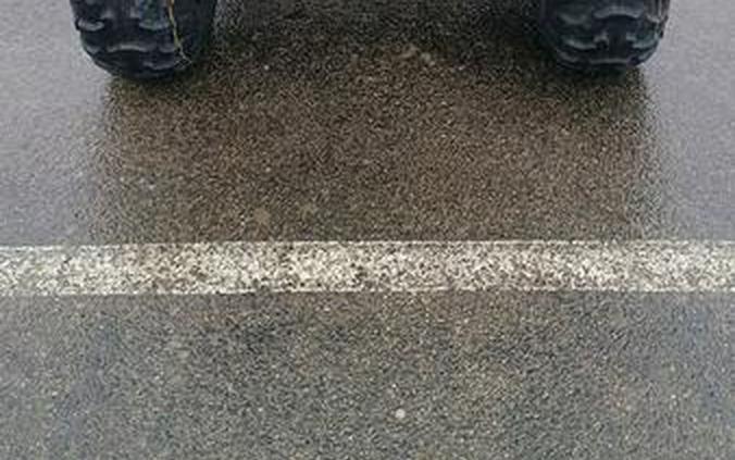 2026 Honda® FourTrax Foreman Rubicon 4x4 Automatic DCT EPS