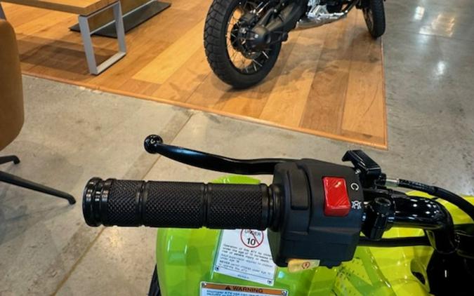 2026 Yamaha Raptor 110