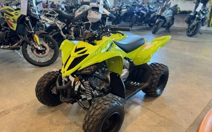 2026 Yamaha Raptor 110