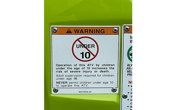 2026 Yamaha GRIZZLY 110