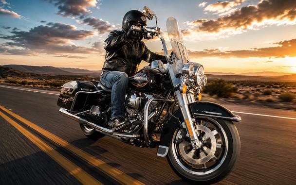 2015 HARLEY-DAVIDSON FLHP POLICE ROAD KING - F618313