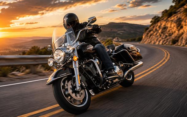 2015 HARLEY-DAVIDSON FLHP POLICE ROAD KING - F618313