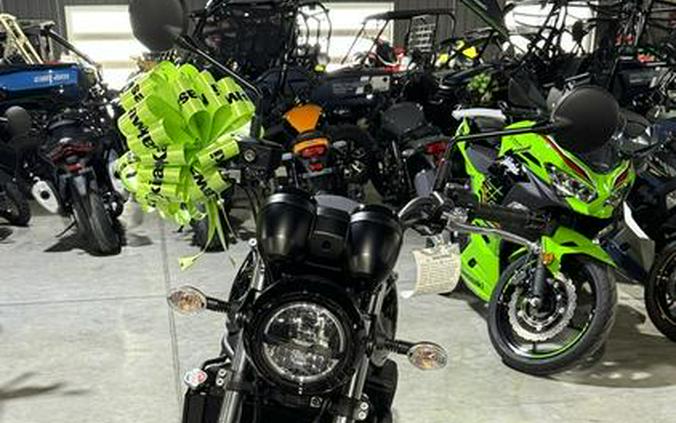 2023 Kawasaki Z650RS