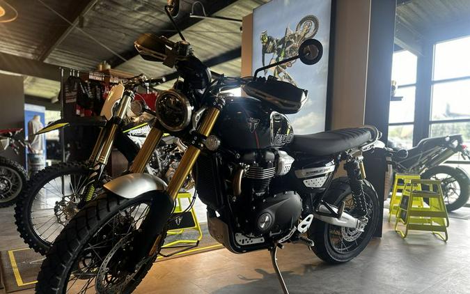 New 2024 Triumph SCRAMBLER 1200 XE