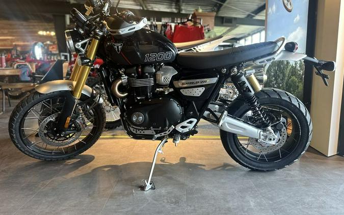 New 2024 Triumph SCRAMBLER 1200 XE