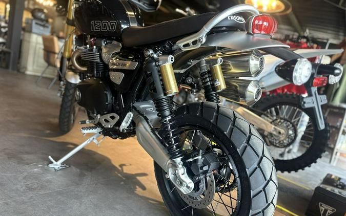 New 2024 Triumph SCRAMBLER 1200 XE