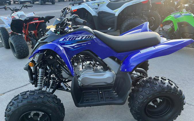 2026 Yamaha RAPTOR 110