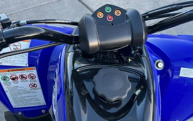 2026 Yamaha RAPTOR 110