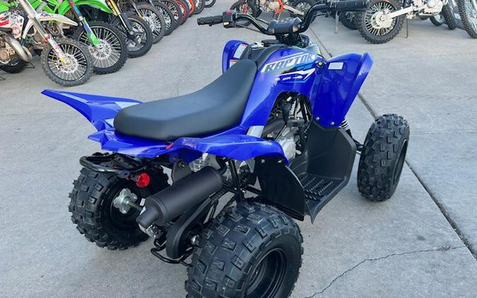 2026 Yamaha RAPTOR 110